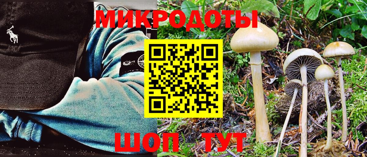 Псилоцибиновые грибы мицелий Армавир