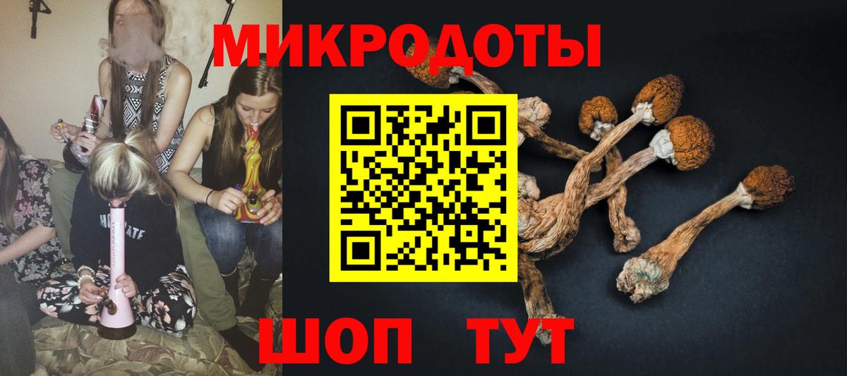 Армавир  Галлюциногенные грибы ЛСД  Вход с VPN 